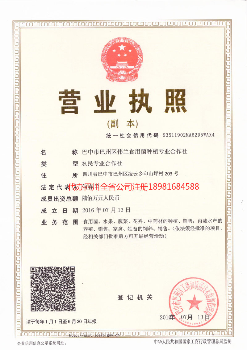 三亚三亚伟兰食用菌种植专业合作社